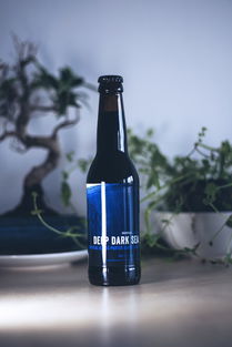 玻璃瓶中的社會責任 波蘭華沙啤酒業(yè)的藍色常春藤